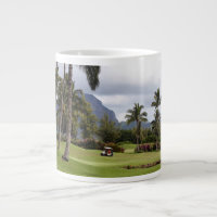Campo de golf de la bahía de Poipu, Kauai, Hawaii