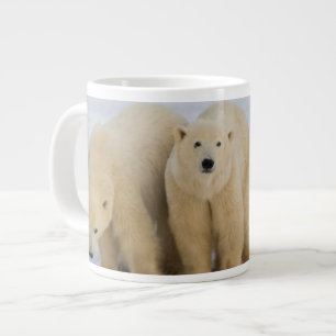 Taza De Café Grande Canadá, Bahía de Hudson. Osa polar con dos
