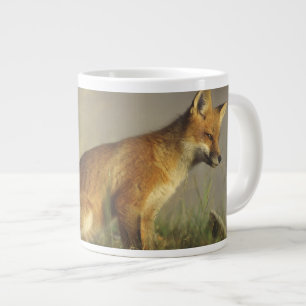 Taza De Café Grande Canadá, Quebec. Cachorro de zorro rojo al amanecer