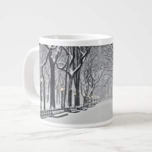 Taza De Café Grande Central Park en el invierno 2
