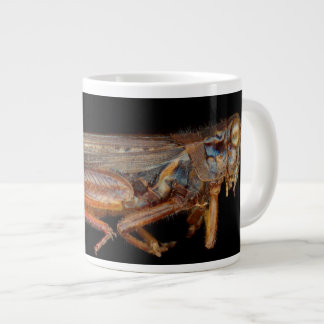 Taza De Café Grande Ciencia - Entomología - El espécimen
