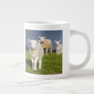 Taza De Café Grande Cordero curioso