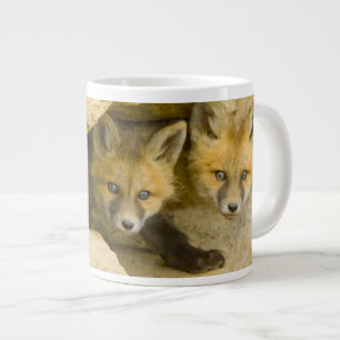 Taza De Café Grande EE. UU., Colorado, Breckenridge. Zorro rojo curios
