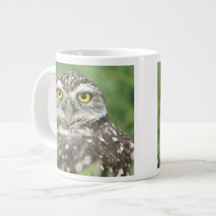 Taza De Café Grande EE. UU., Florida, Cape Coral, Lechuza de Minería (