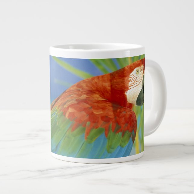 Taza De Café Grande EE. UU., Hawái. Loro (Derecha)