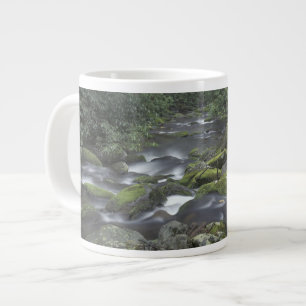 Taza De Café Grande EE. UU., Tennessee, Parque Nacional Grandes Montañ