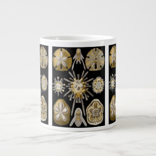 Taza De Café Grande Erizos de Mar Antiguos Dólares de Arena por Ernst 