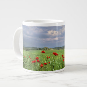 Taza De Café Grande Europa, Toscana, Poggiolo. Amapolas rojas se mecen