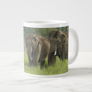 Taza De Café Grande Familia de elefantes indios