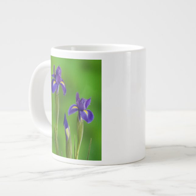 Taza De Café Grande Flores de Iris (Izquierda)