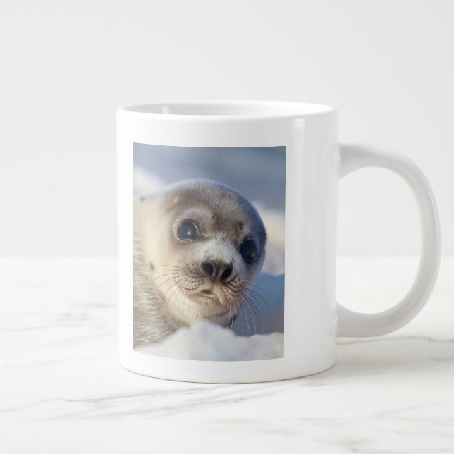 Taza De Café Grande Foca de Groenlandia joven (Derecha)