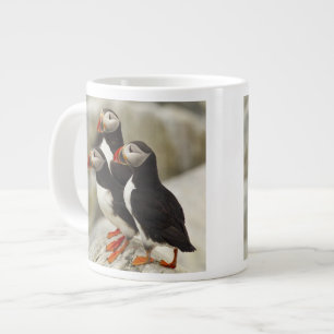 Taza De Café Grande Frailecillos atlánticos en la Isla Machias Seal