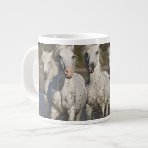 Taza De Café Grande Francia, Camargue. Caballos corren
