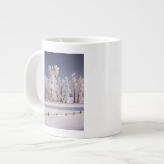 Taza De Café Grande Frost cubrió los árboles y la cerca, Colorado