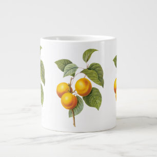 Taza De Café Grande Frutas Comestibles Antiguas, Albaricoque Melocotón