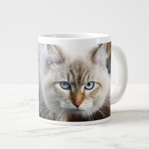 Taza De Café Grande Gato Siberiano En Un Bosque Otoño