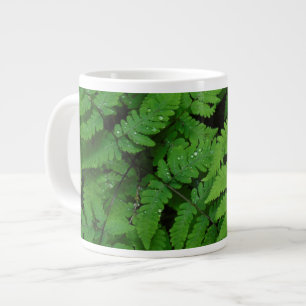 Taza De Café Grande Helecho con gotas de lluvia, Estado de Washington
