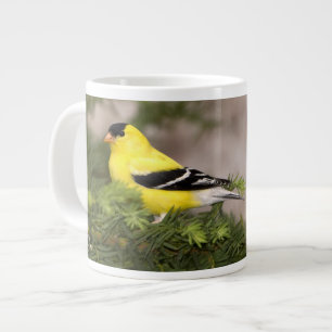 Taza De Café Grande Jilguero americano macho en un árbol