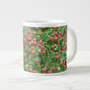 Taza De Café Grande Kousa Dogwood Berries