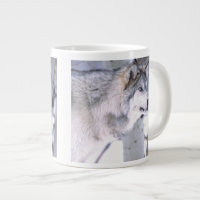Lobo Gris, Canis lupus, Animal de Película (Utah)