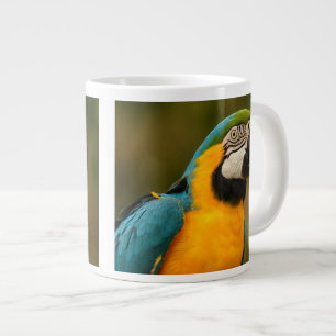Taza De Café Grande macaw del azul y del oro