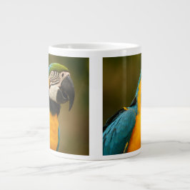 Taza De Café Grande macaw del azul y del oro