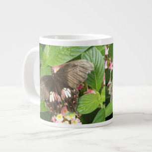 Taza De Café Grande Macroceración de mariposa de cola de cerda