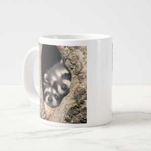 Taza De Café Grande Mapaches bebés en cavidad de árbol Procyon
