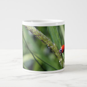 Taza De Café Grande Mariquita (Coccinellidae)