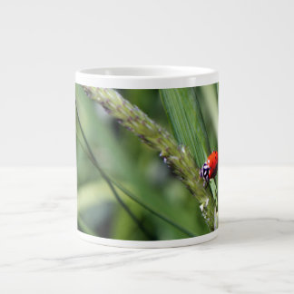 Taza De Café Grande Mariquita (Coccinellidae)