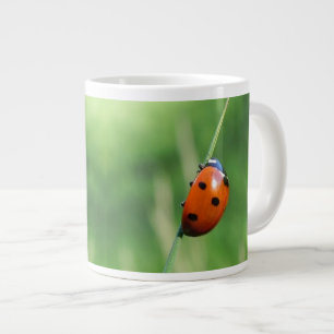 Taza De Café Grande Mariquita en una hoja de hierba