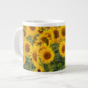 Taza De Café Grande Na, EE. UU., Colorado, Girasoles