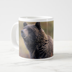 Taza De Café Grande NA, USA, Alaska, Denali NP, oso Grizzly