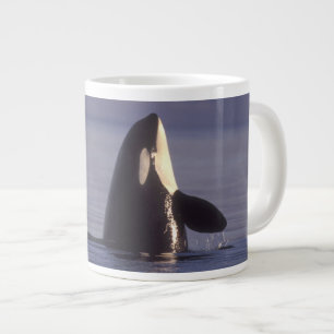 Taza De Café Grande Orca asesina (Orca orcinus) espiando cerca