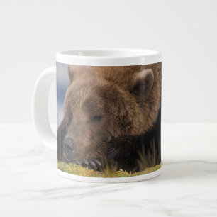Taza De Café Grande Oso pardo, oso grizzly, tomando una siesta, Katmai