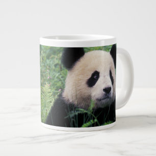 Taza De Café Grande Panda gigante en la hierba, Valle de Wolong, Sichu