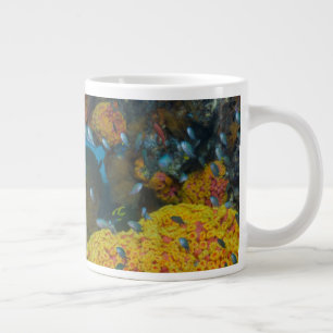 Taza De Café Grande Pez Entre Arrecife de Coral