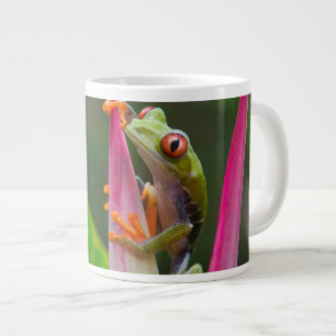 Taza De Café Grande Rana de ojos rojos, Costa Rica