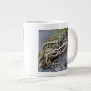 Taza De Café Grande rana leopardo norteña, Isla transparente,