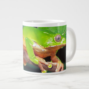 Taza De Café Grande Rana mono arborícola bicolor gigante, Phyllomedusa