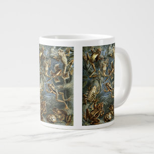 Taza De Café Grande Ranas y sapos vintage Batrachia por Ernst Haeckel