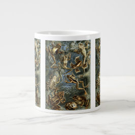 Taza De Café Grande Ranas y sapos vintage Batrachia por Ernst Haeckel