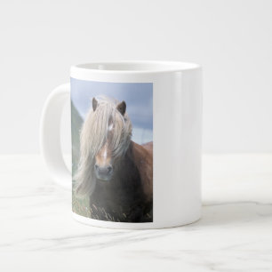 Taza De Café Grande Reino Unido, Escocia, Islas Shetland, pony Shetlan