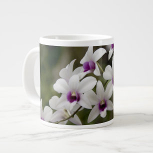 Taza De Café Grande Singapur (sánscrito para Ciudad León). Nacional 2
