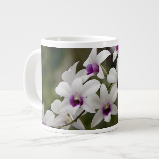 Taza De Café Grande Singapur (Sanskrit por Ciudad León). Nacional 2 (Izquierda)