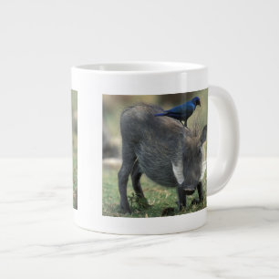 Taza De Café Grande Sudáfrica, Pilanesburg GR, jabalí