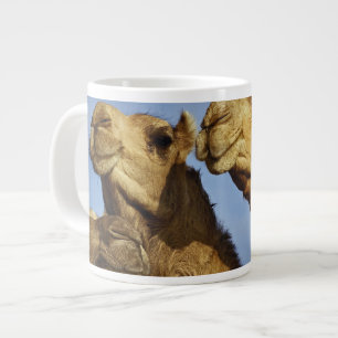Taza De Café Grande Trío de camellos, mercado de camellos, El Cairo, E