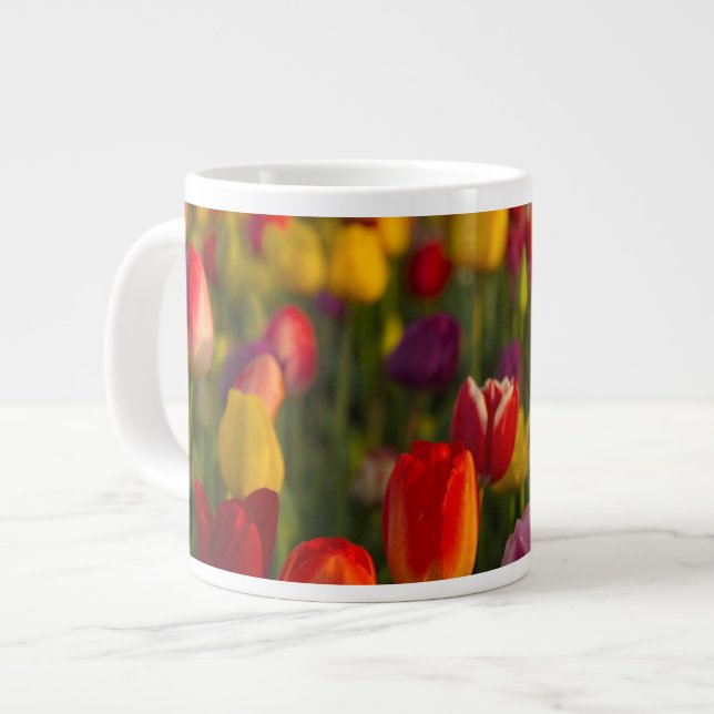 Taza De Café Grande Tulips, Festival Tulip, Woodburn, Oregón, EE.UU. 2 (Izquierda)