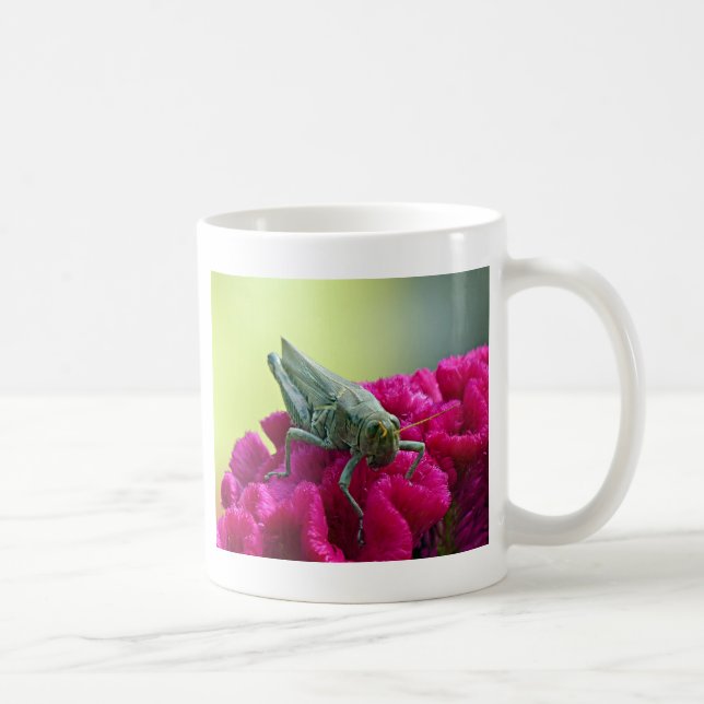 Taza De Café Grasshopper on Cockscomb (Derecha)