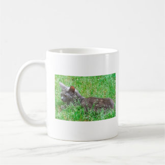 Taza De Café Gray Tortie Cat
